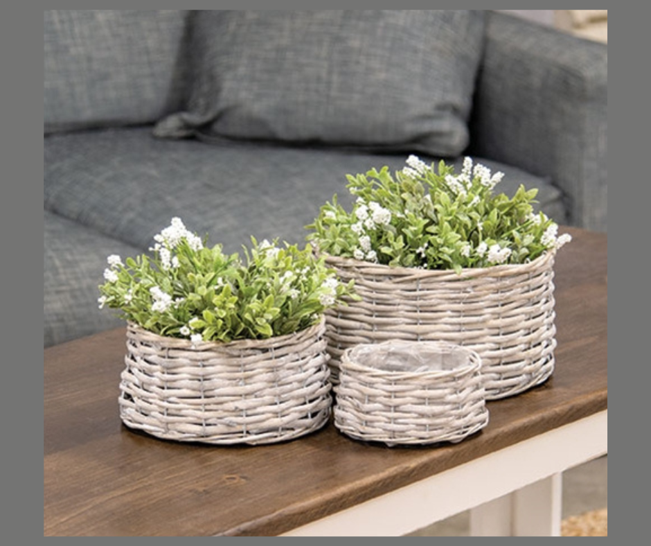 Graywashed Willow Planters Set of 3