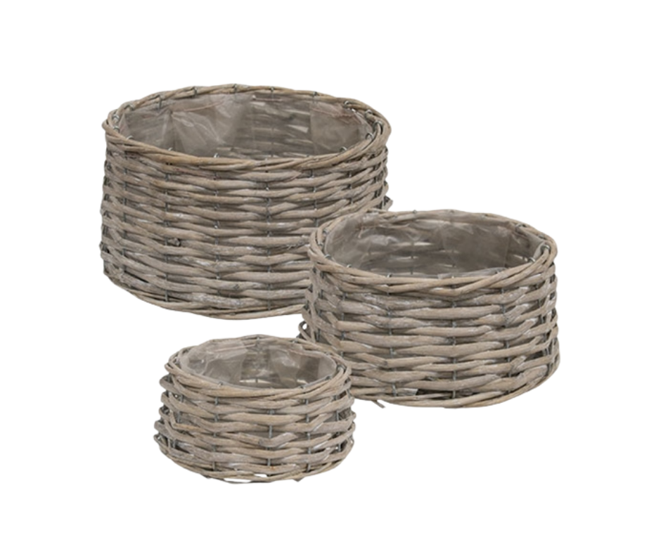 Graywashed Willow Planters Set of 3