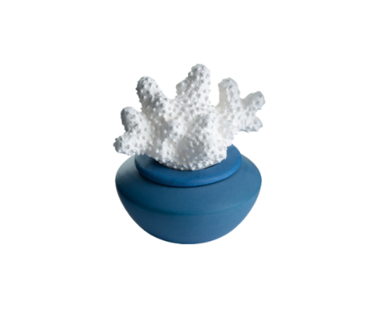 Coral Porcelain Diffuser